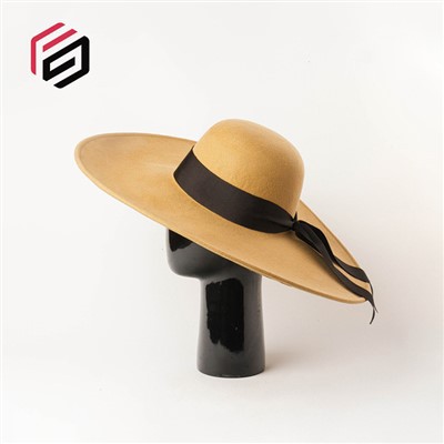 Vilnos veltinio plataus krašto skrybėlė